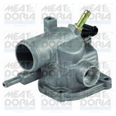 Thermostat, coolant